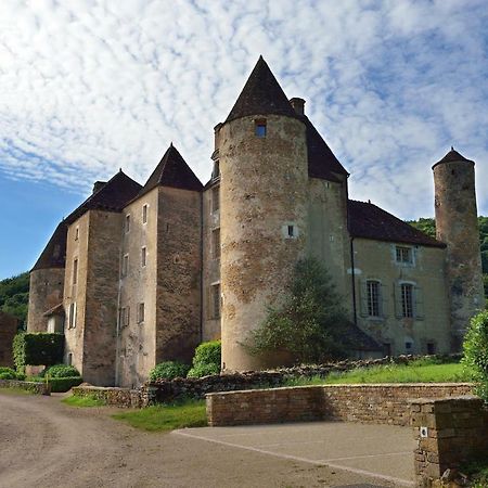 Chateau De Balleure Etrigny Buitenkant foto
