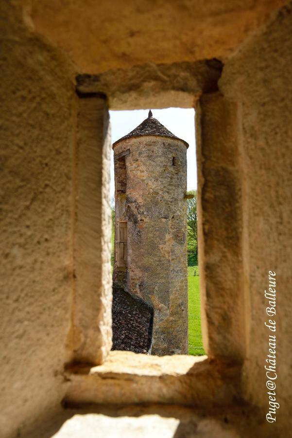 Chateau De Balleure Etrigny Buitenkant foto