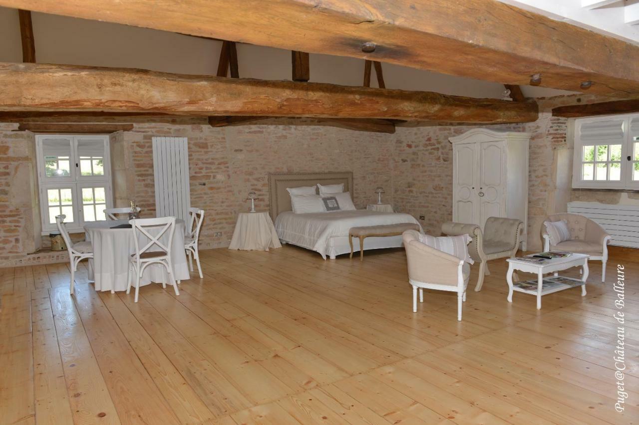 Chateau De Balleure Etrigny Buitenkant foto